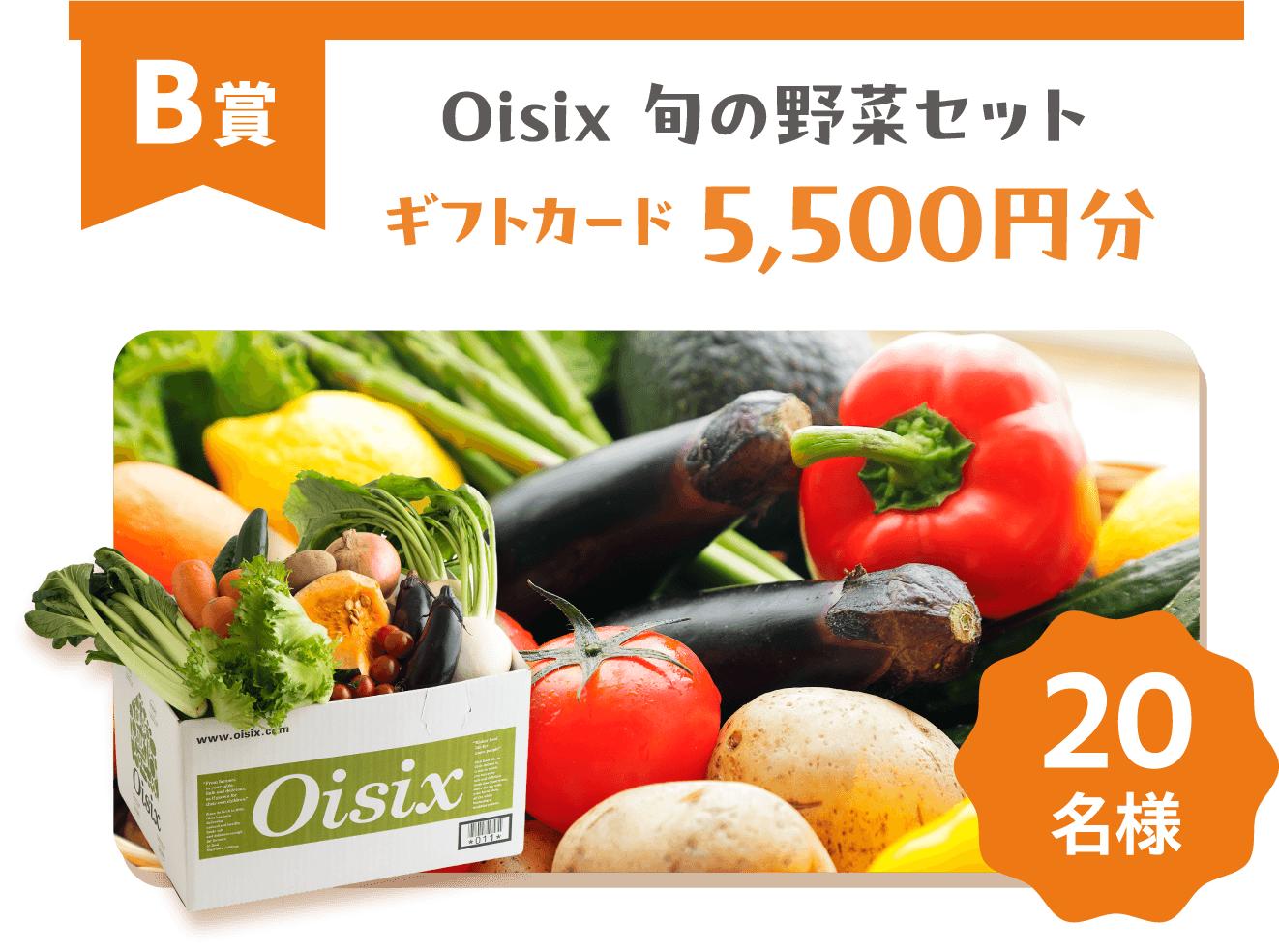 B賞 Oisix 旬の野菜セット ギフトカード 5,500円分 20名様